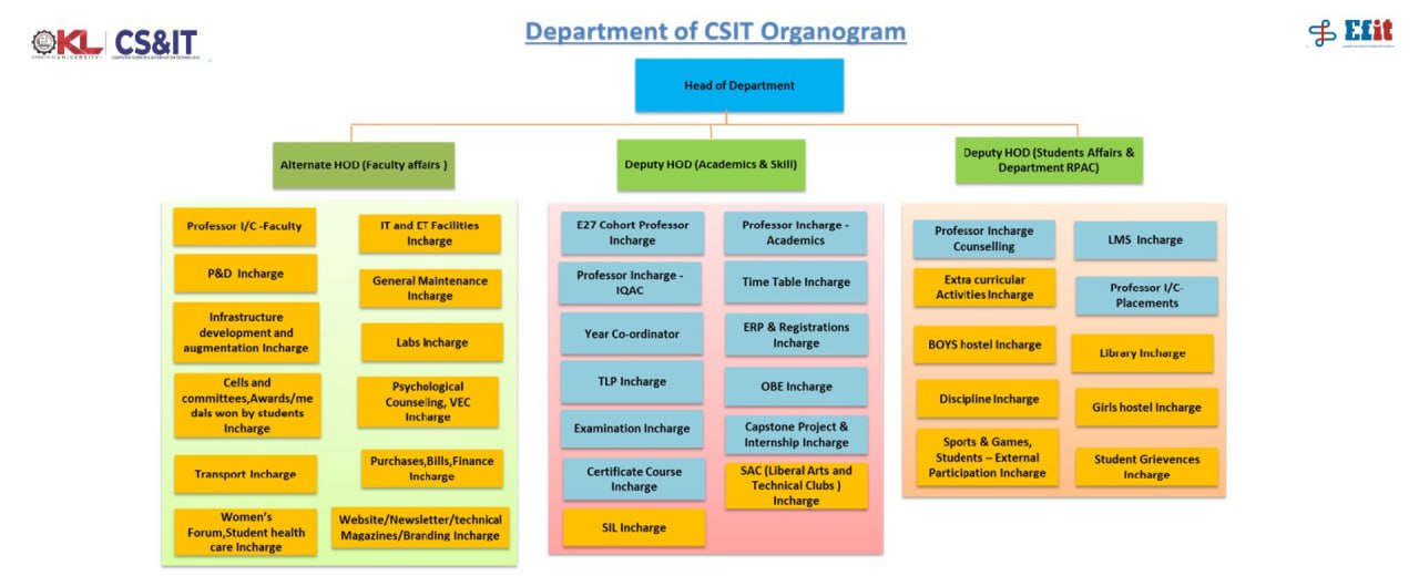 organogram image