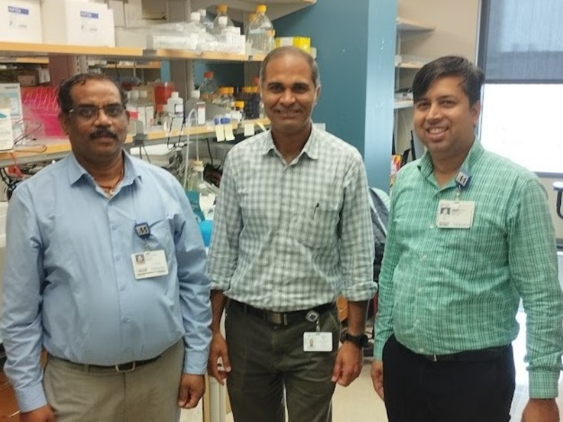 KL Professor Appointed as Editor for Three journals.